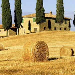 Paisaje Toscano