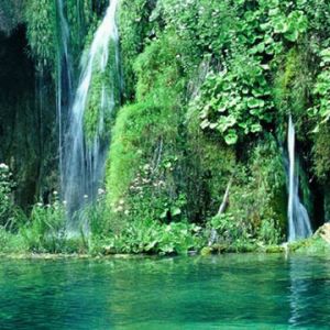 Cascada Serena y Vegetación