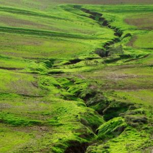 Paisaje Verde
