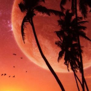 Impresionante Atardecer con Planetas