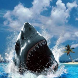 Tiburón majestuoso saltando a la superficie