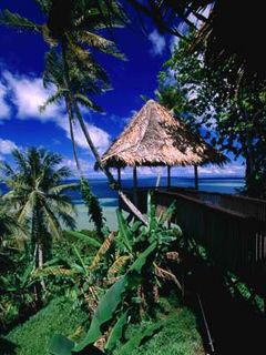Paraíso Tropical con Palmeras
