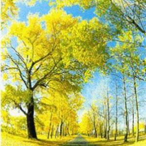 Árboles de Otoño y Cielo Azul