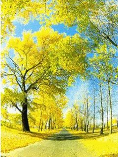 Árboles de Otoño y Cielo Azul