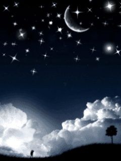 Cielo Nocturno Estrellado