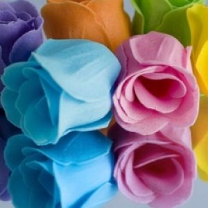 Rosas Coloridas