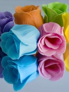Rosas Coloridas