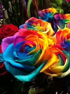 Rosas Arcoíris Coloridas