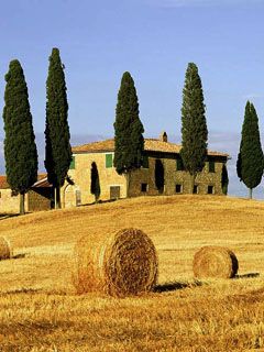 Paisaje Toscano