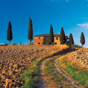 Paisaje Toscano Escénico