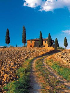 Paisaje Toscano Escénico