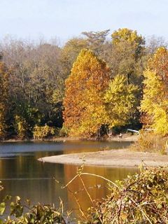 Paisaje de Lago en Otoño