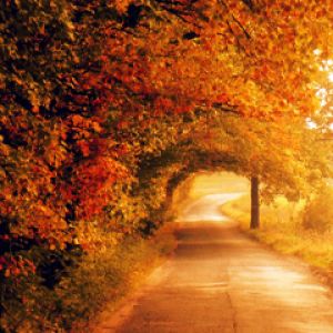 Camino de Otoño