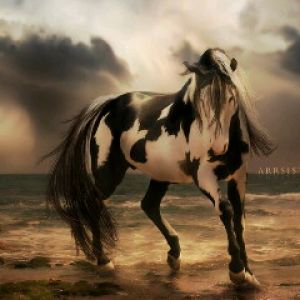Caballo Majestuoso en la Playa