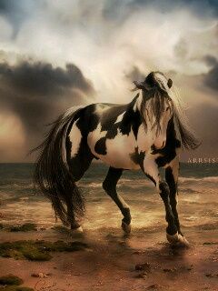 Caballo Majestuoso en la Playa