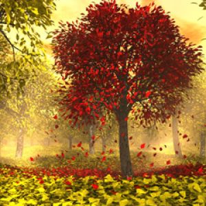Paisaje Forestal de Otoño