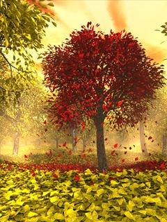 Paisaje Forestal de Otoño