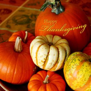 Calabazas de Acción de Gracias