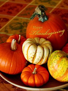 Calabazas de Acción de Gracias