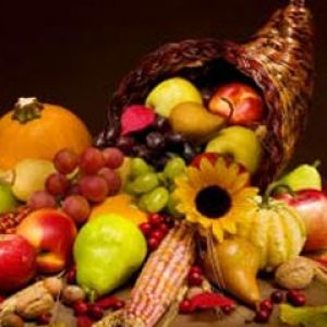Cornucopia de Frutas de Otoño