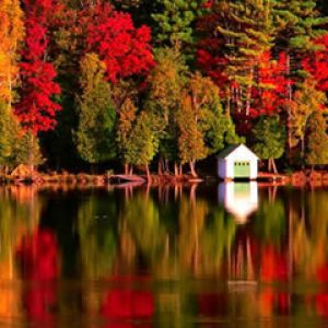 Reflejo de Otoño en el Lago