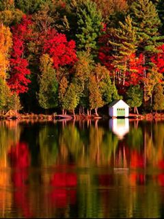 Reflejo de Otoño en el Lago