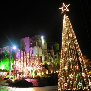 Árbol de Navidad de Noche