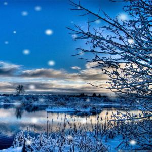Paisaje Invernal