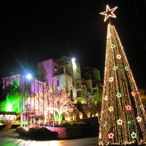 Árbol de Navidad Iluminado