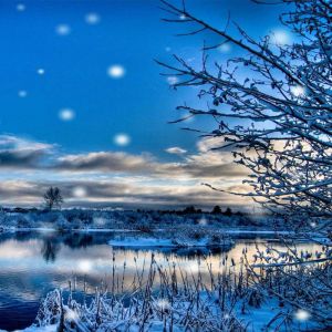 Paisaje Invernal