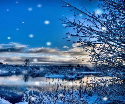 Paisaje Invernal