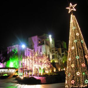 Árbol de Navidad Luces Nocturnas