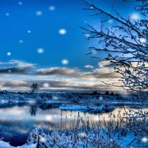 Paisaje Invernal