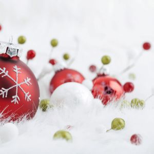 Adornos y Decoraciones Navideñas