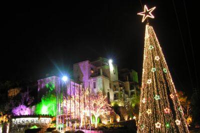 Árbol de Navidad con Luces Coloridas