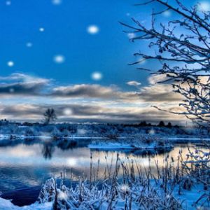 Paisaje Invernal