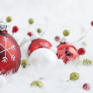 Adornos y Decoraciones Navideñas