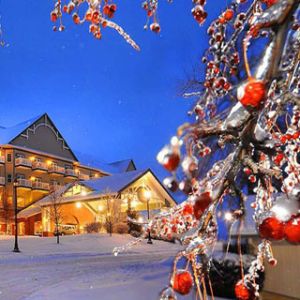 Maravilla Invernal con Luces Navideñas