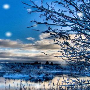 Paisaje Invernal