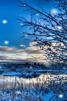 Paisaje Invernal