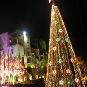 Árbol de Navidad Iluminado