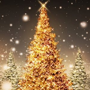 Hermoso Árbol de Navidad