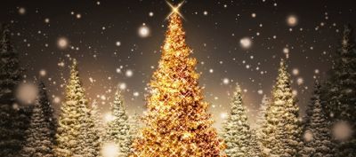 Hermoso Árbol de Navidad