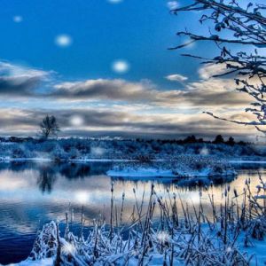 Paisaje Invernal