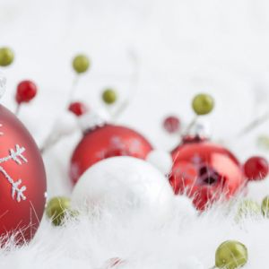 Adornos y Decoraciones Navideñas