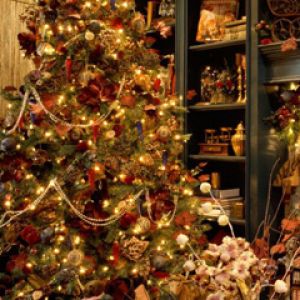 Hermoso Árbol de Navidad