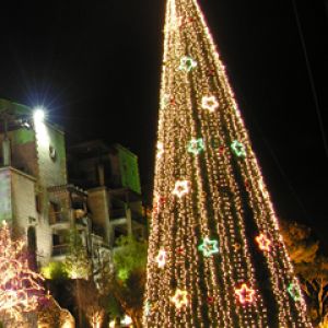 Hermoso Árbol de Navidad con Luces