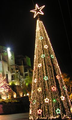 Hermoso Árbol de Navidad con Luces
