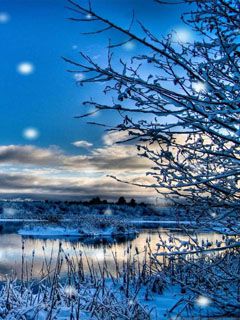 Paisaje Invernal