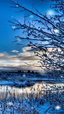 Paisaje Invernal